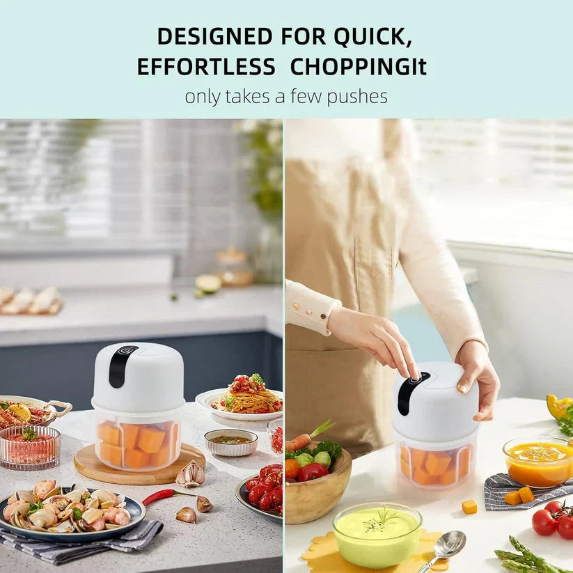 Wireless USB Rechargeable Mini Electric Garlic Machine / Chopper 3 Blades (300Ml)